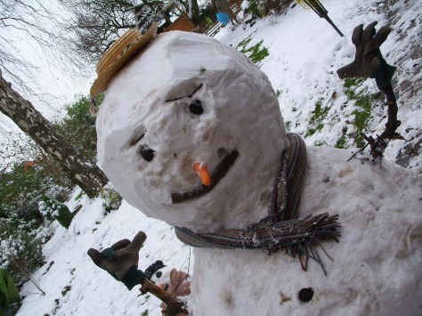 Christmas 2012 and January Snow 093