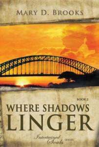 intertwined souls book2